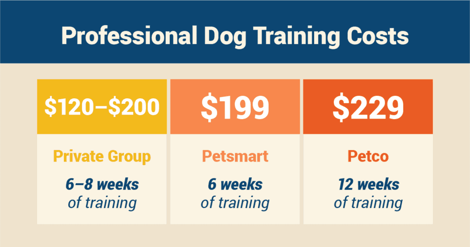 Private dog training cost deals